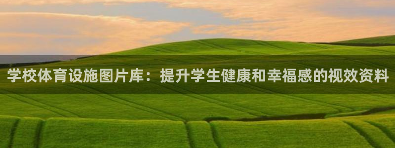 意昂体育3平台：学校体育设施图片库：提升学生健康和幸