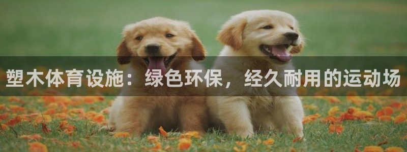 意昂体育3平台注册要钱吗：塑木体育设施：绿色环保，经