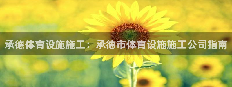 意昂体育3招商电话是多少：承德体育设施施工：承德市体
