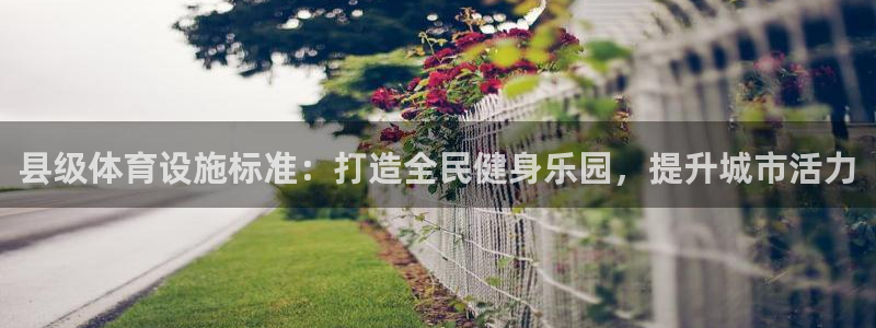 意昂体育3招商：县级体育设施标准：打造全民健身乐园，