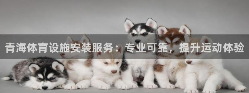意昂体育3招商电话：青海体育设施安装服务：专业可靠，
