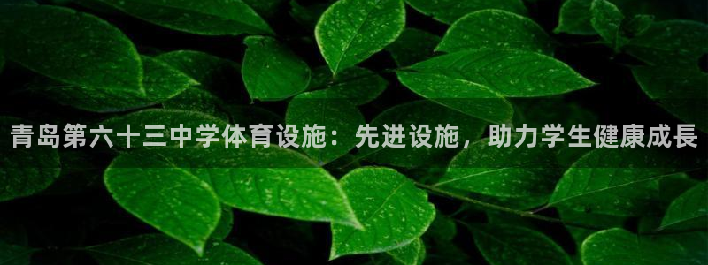 意昂体育3平台假的吗是真的吗吗：青岛第六十三中学体育