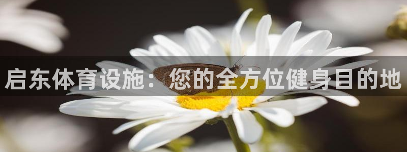 意昂3娱乐是那个系列的台子：启东体育设施：您的全方位