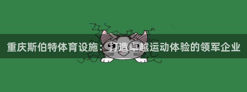 意昂3娱乐下载：重庆斯伯特体育设施：打造卓越运动体验