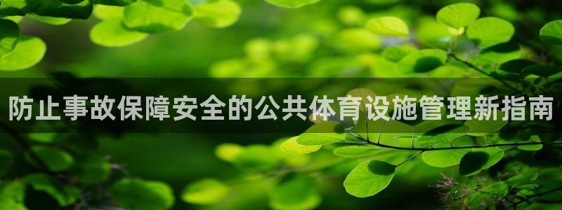 意昂3娱乐平台：防止事故保障安全的公共体育设施管理新