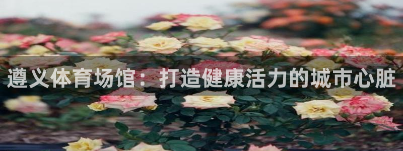 意昂体育3联系电话：遵义体育场馆：打造健康活力的城市