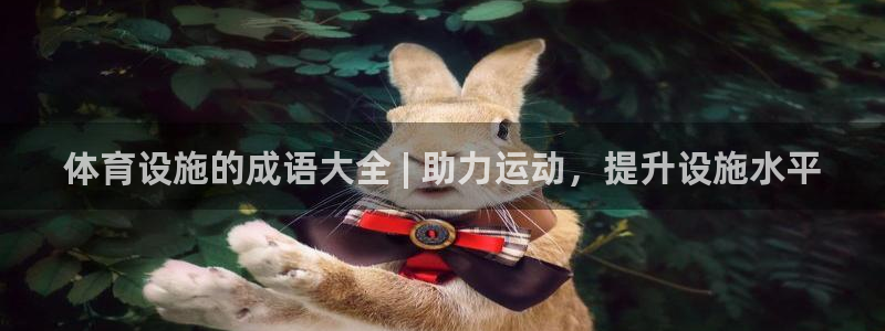 海南意昂体育3发展怎么样：体育设施的成语大全 | 助