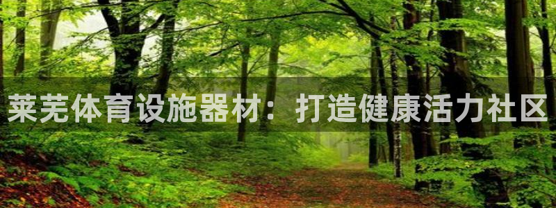 意昂3集团E.ON：莱芜体育设施器材：打造健康活力社
