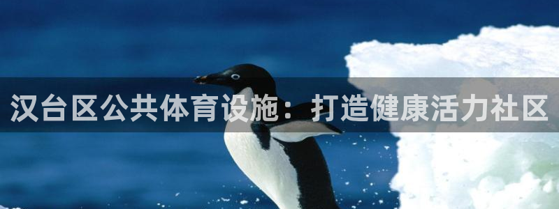 意昂3官方：汉台区公共体育设施：打造健康活力社区