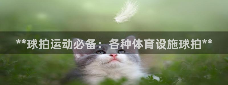 意昂3官方：**球拍运动必备：各种体育设施球拍**