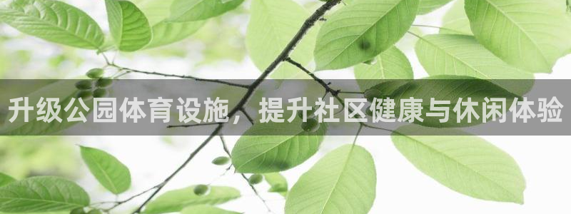 意昂集团官网：升级公园体育设施，提升社区健康与休闲体