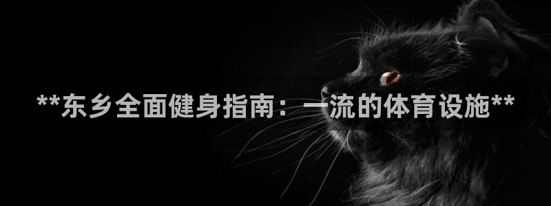 意昂3娱乐40996：**东乡全面健身指南：一流的体