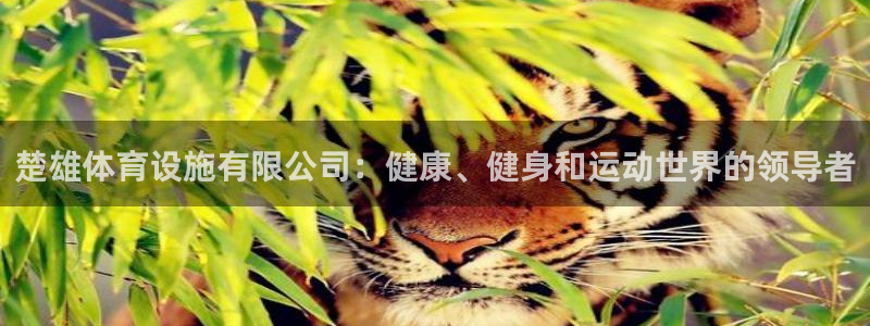 意昂3代理：楚雄体育设施有限公司：健康、健身和运动世