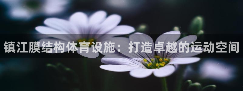 意昂3娱乐下载：镇江膜结构体育设施：打造卓越的运动空