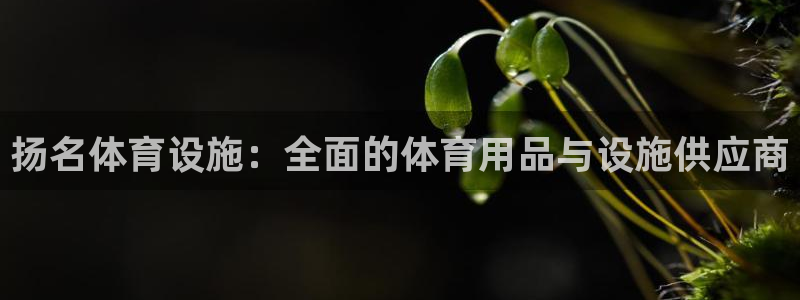 意昂体育3招商电话号码是多少：扬名体育设施：全面的体