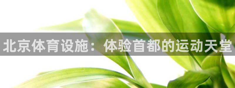 意昂体育3招商电话是多少啊：北京体育设施：体验首都的