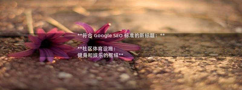 意昂体育3是干嘛的公司：**符合 Google SE