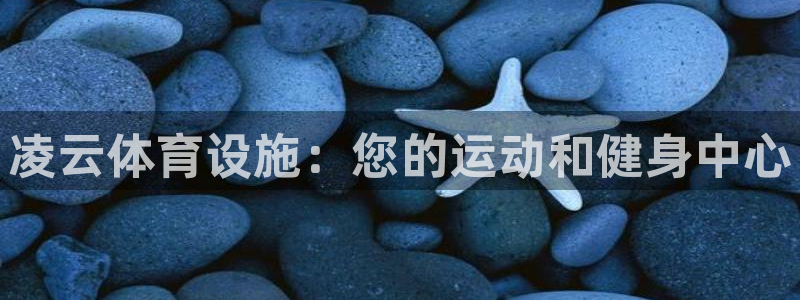意昂体育3招商电话