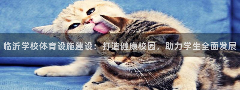 意昂体育3招商电话号码查询：临沂学校体育设施建设：打