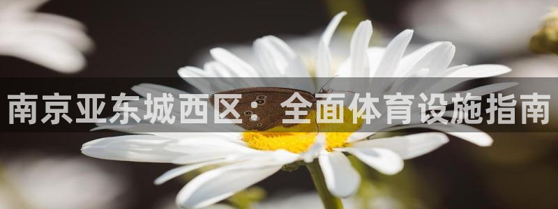 意昂体育3软件：南京亚东城西区：全面体育设施指南