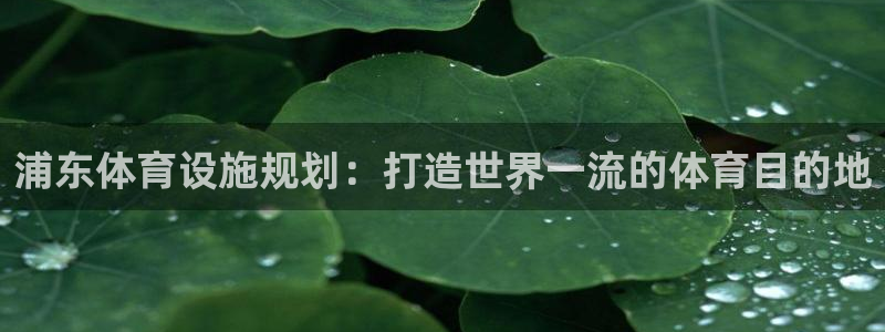 意昂体育3招商电话号码是多少啊：浦东体育设施规划：打