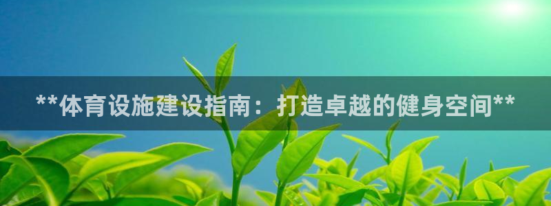 意昂3官网：**体育设施建设指南：打造卓越的健身空间
