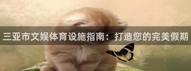 意昂体育3软件：三亚市文娱体育设施指南：打造您的完美