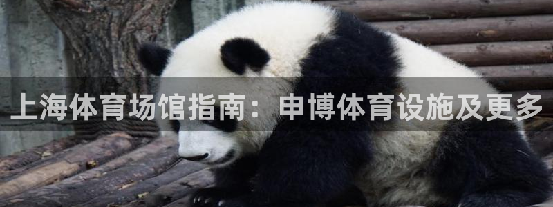 意昂体育3平台：上海体育场馆指南：申博体育设施及更多