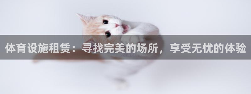 德国意昂3集团：体育设施租赁：寻找完美的场所，享受无