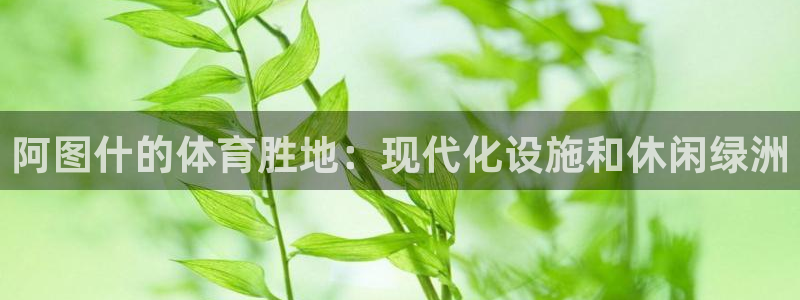 注册意昂3：阿图什的体育胜地：现代化设施和休闲绿洲