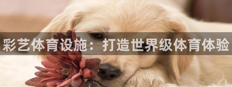 意昂体育3平台注册要钱吗安全吗：彩艺体育设施：打造世