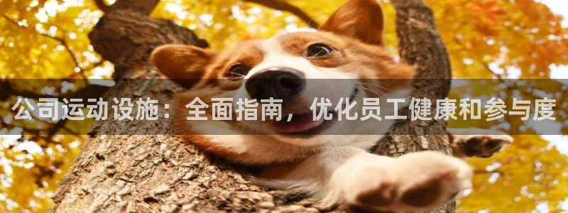 意昂3娱乐：公司运动设施：全面指南，优化员工健康和参