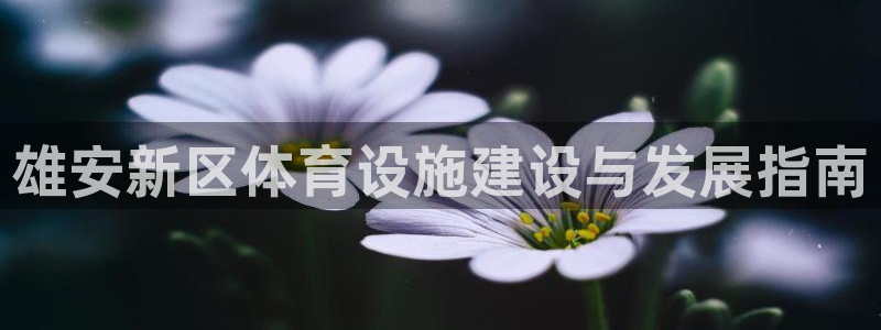 意昂3娱乐代理怎么样