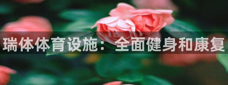 意昂体育3注册：瑞体体育设施：全面健身和康复