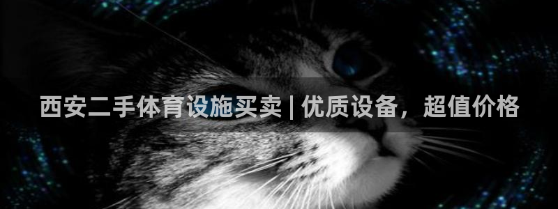 意昂3娱乐40996：西安二手体育设施买卖 | 优质