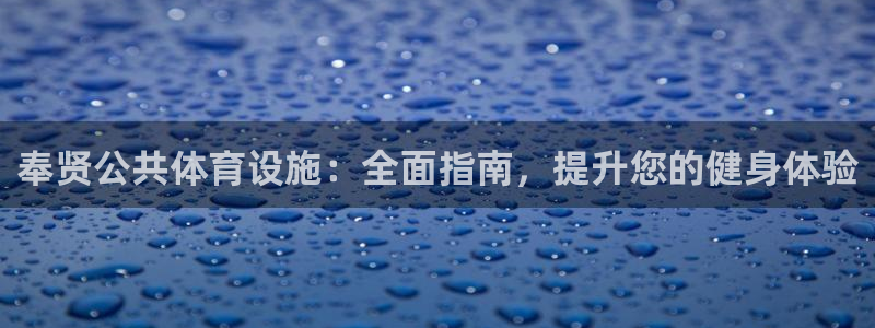 意昂体育3招商电话地址：奉贤公共体育设施：全面指南，