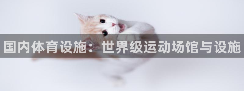 海南意昂体育3发展怎么样：国内体育设施：世界级运动场