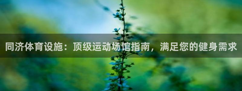 意昂3新能源：同济体育设施：顶级运动场馆指南，满足您