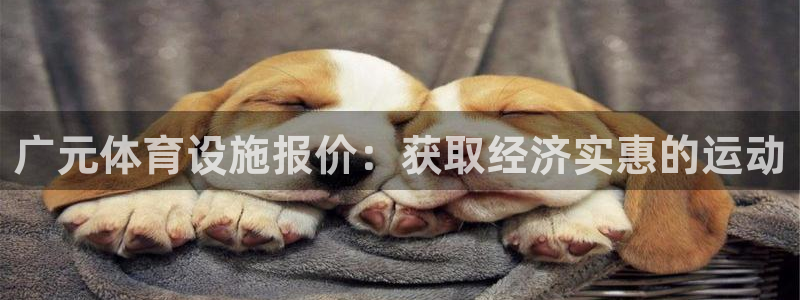 意昂体育3软件：广元体育设施报价：获取经济实惠的运动