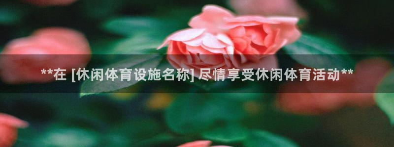 意昂3娱乐平台：**在 [休闲体育设施名称] 尽情享