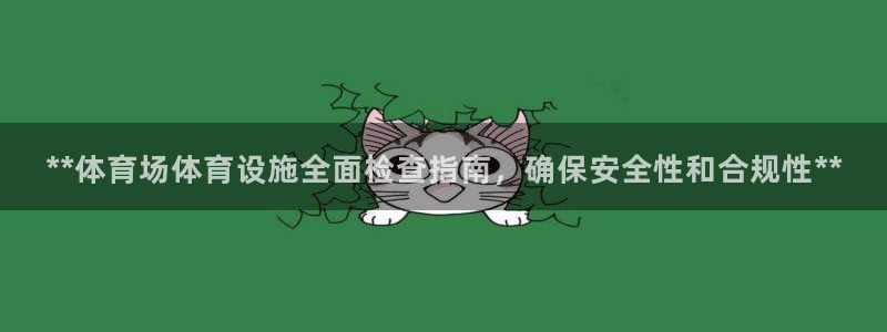 意昂3娱乐下载：**体育场体育设施全面检查指南，确保