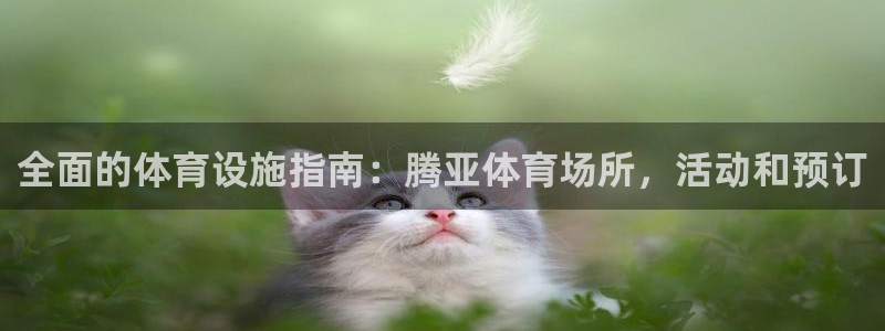 注册意昂3：全面的体育设施指南：腾亚体育场所，活动和
