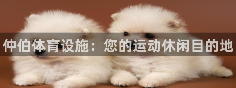 意昂3集团官网首页：仲伯体育设施：您的运动休闲目的地