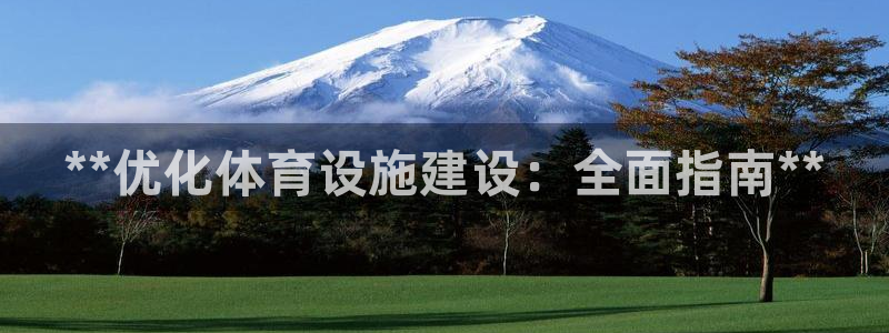 意昂3集团logo：**优化体育设施建设：全面指南*
