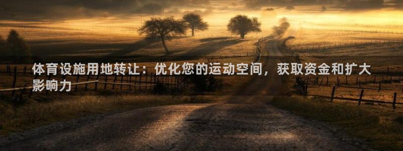 意昂3娱乐首页网站大全：体育设施用地转让：优化您的运