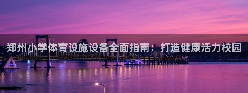 意昂体育3注册：郑州小学体育设施设备全面指南：打造健