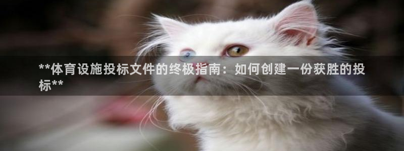 意昂体育3平台注册：**体育设施投标文件的终极指南：
