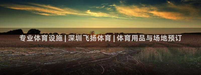 意昂3娱乐代理怎么样：专业体育设施 | 深圳飞扬体育