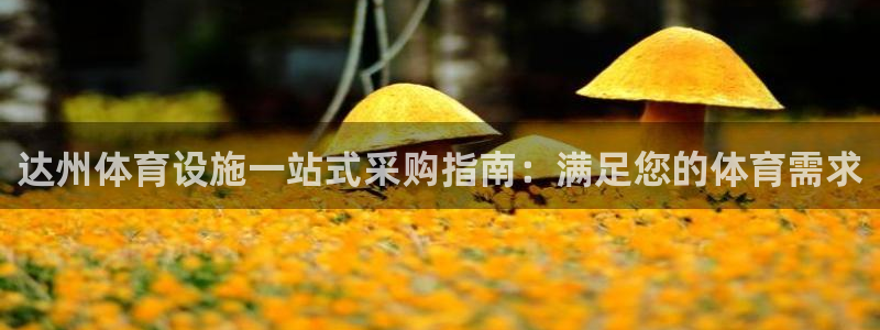 意昂体育3招商电话号码是多少号