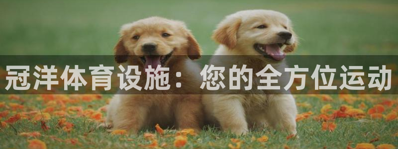 意昂体育3平台注册要钱吗是真的吗：冠洋体育设施：您的